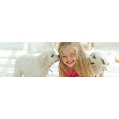 Benefits of growing up with a dog