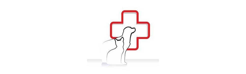 How to provide first aid for your pet