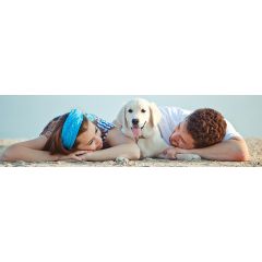 Guidelines for a fun and happy summer with your pet