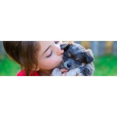 8 gute Tipps für Welpen