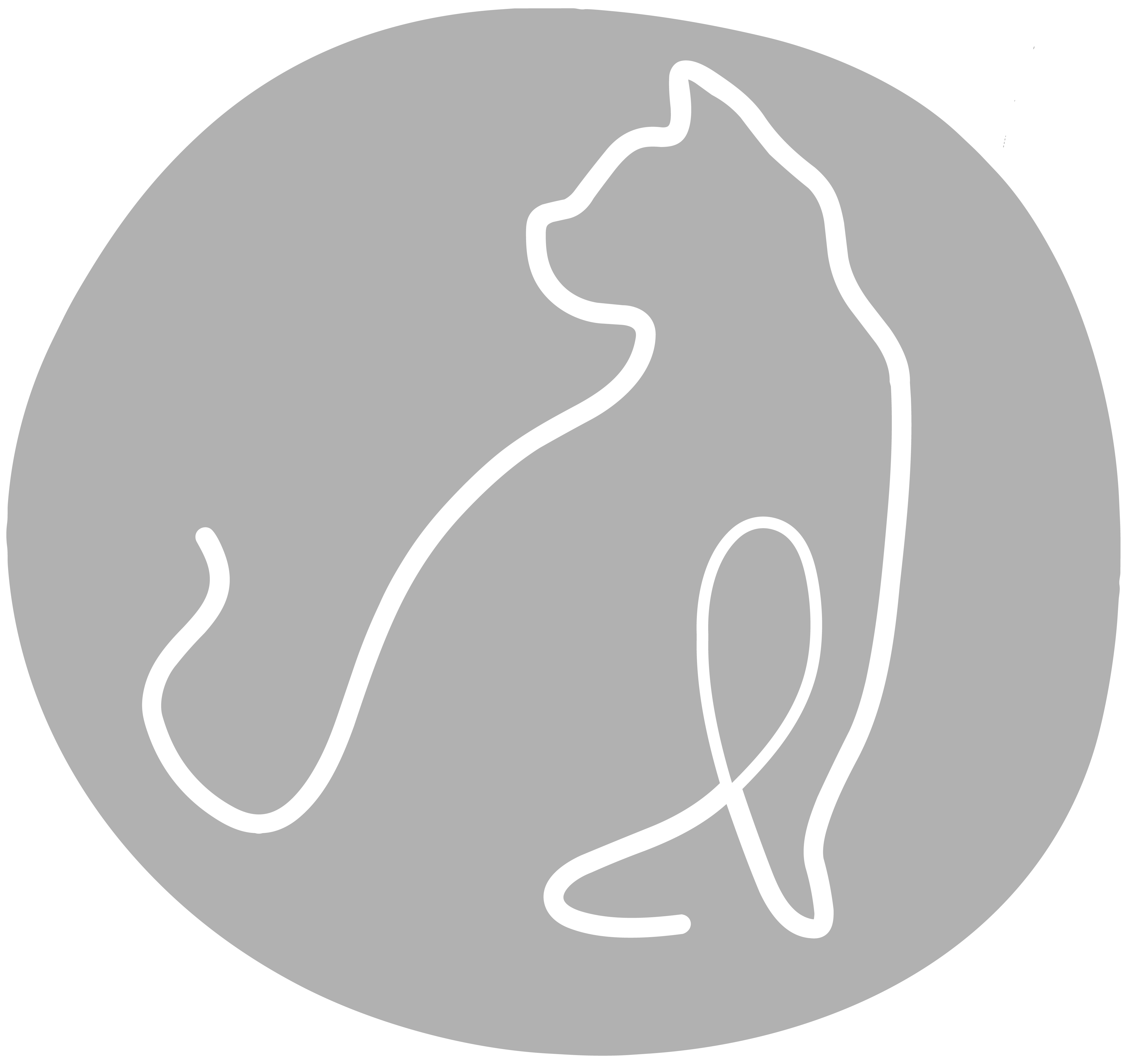 LIVE für Katzen