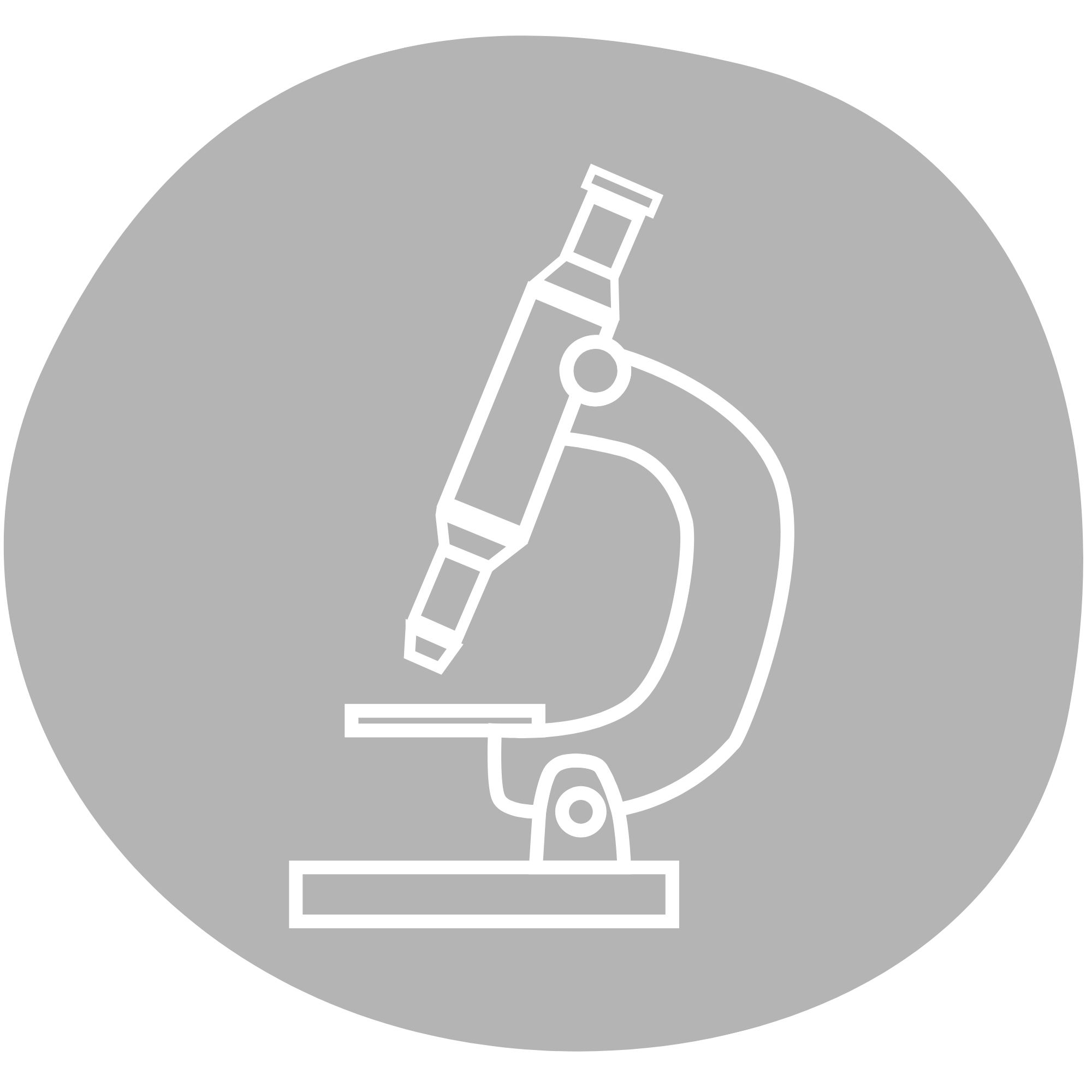 Funktion und Wissenschaft
