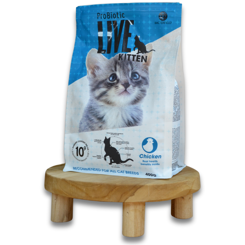 Kitten Sack