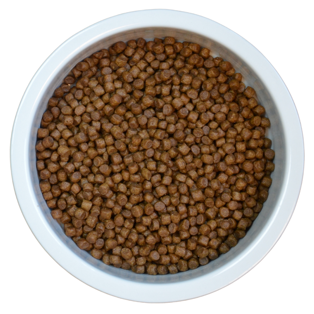 ProBiotic LIVE Cat Kitten