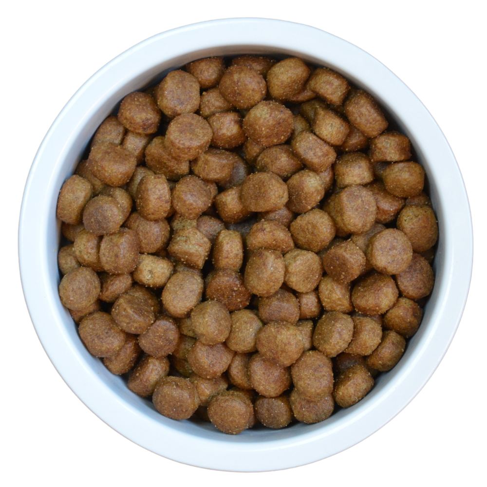 ProBiotic LIVE Dog Adult Huhn