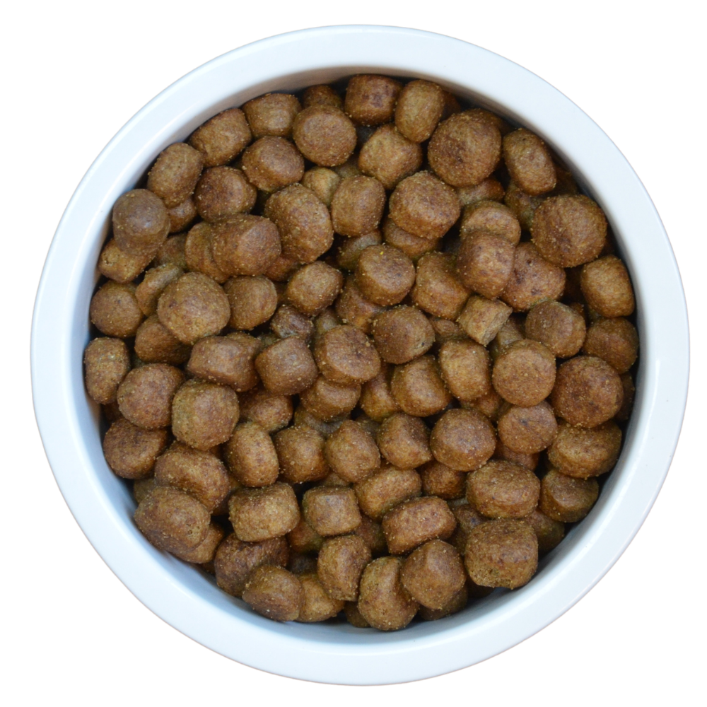 ProBiotic LIVE Dog Adult Lachs