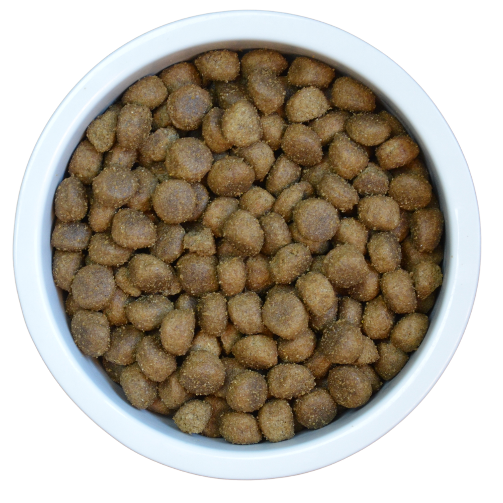 ProBiotic LIVE Dog Adult Lamm