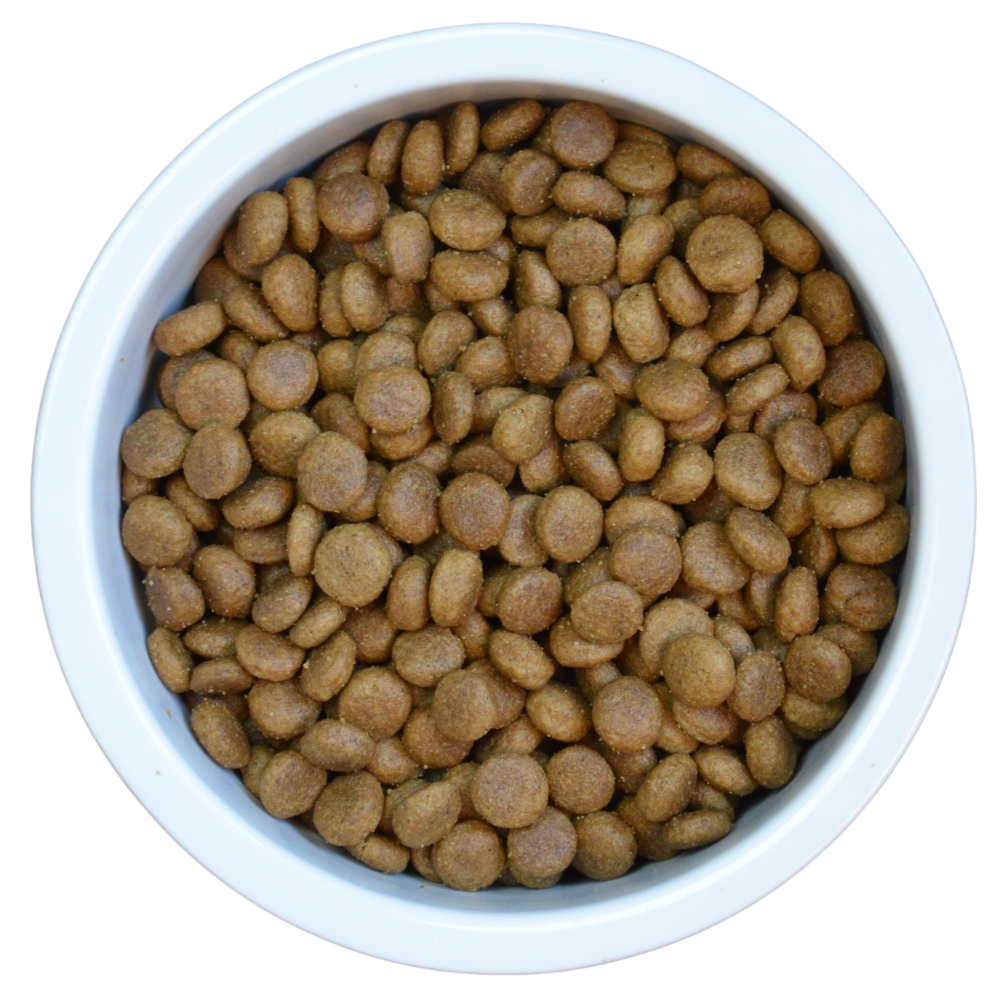  ProBiotic LIVE Puppy Huhn