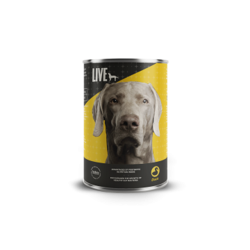 LIVE Dog Wet Ente