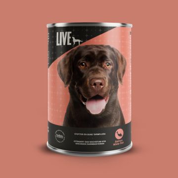 LIVE Dog Wet Lachs & Weißfisch