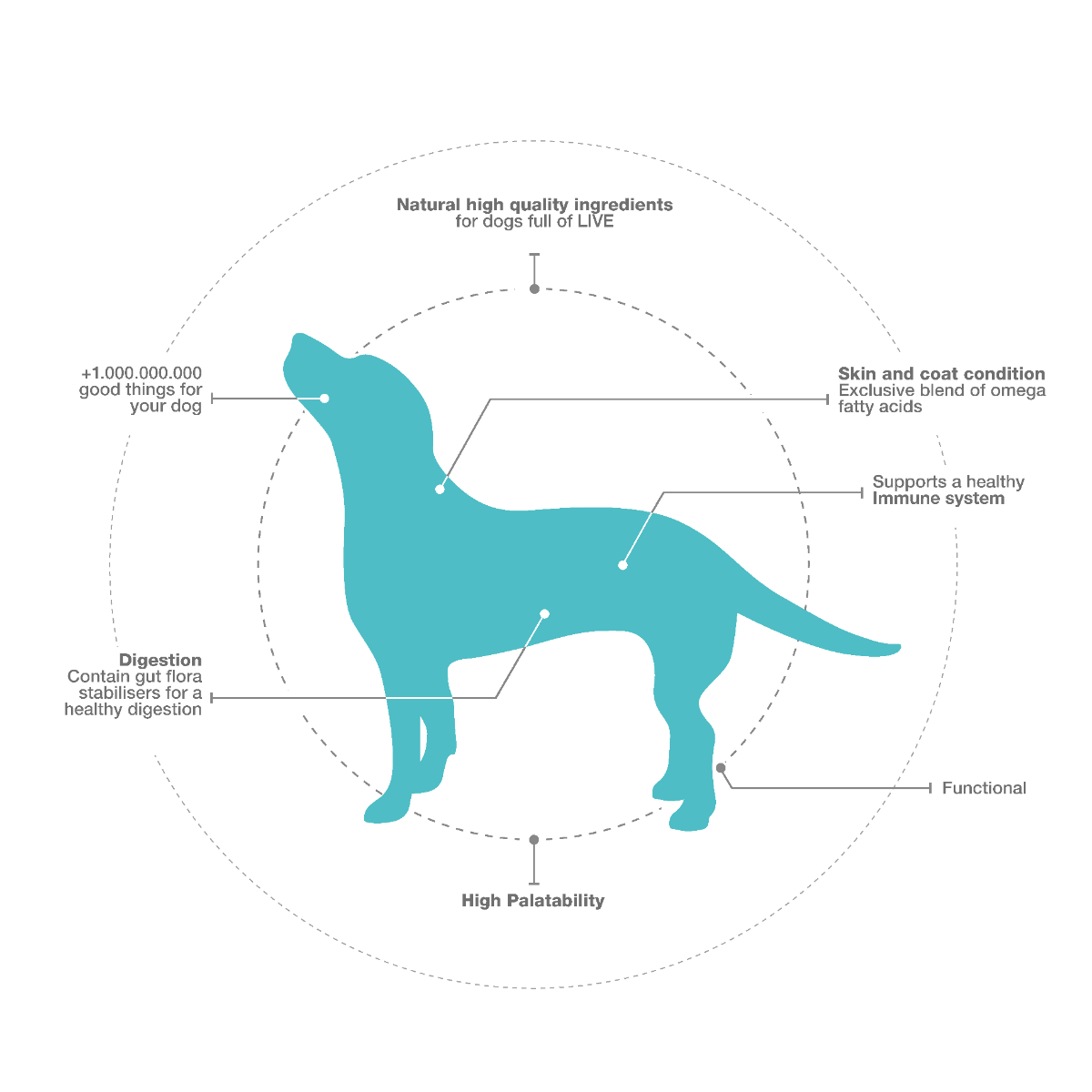 ProBiotic LIVE for dogs