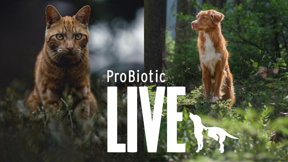 ProBiotic LIVE